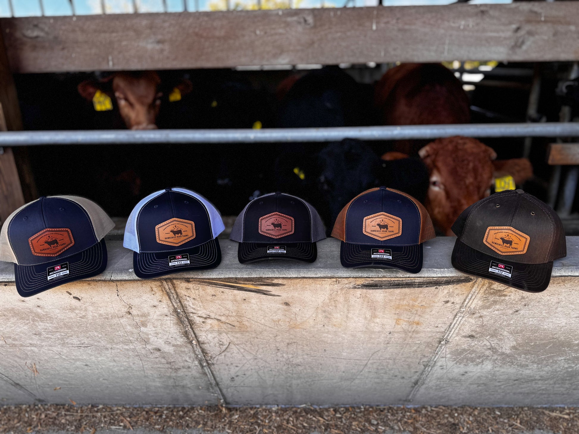 HPF Leather Patch Hat